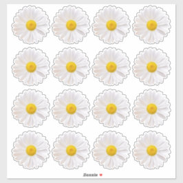 16 Shasta-madelief Flower Kiss-Cut Stickers