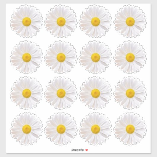 16 Shasta-margriet Flower Kiss-Cut Stickers (Vel)