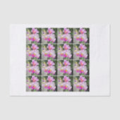 16 waterverf roze orchidee ontledingschintz tissuepapier (Voorkant)