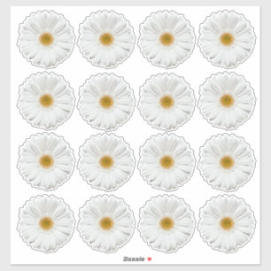16 Witte Gerbera-Margriet Bloem Kiss-Cut Stickers