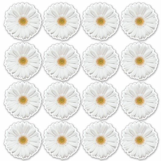 16 Witte Gerbera-Margriet Bloem Kiss-Cut Stickers (Voorkant)