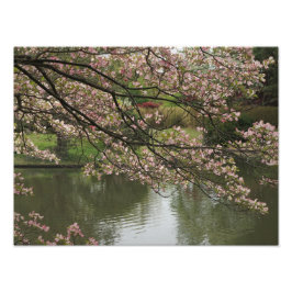 16 "x12" Roze Dogwood Foto Afdruk