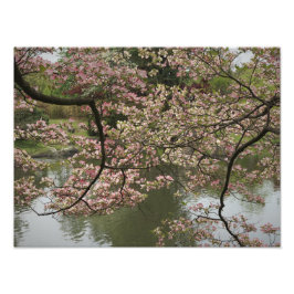 16 "x12" Roze Dogwood Foto Afdruk
