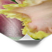 16"x16" Daglelies Foto Afdruk (Hoek)