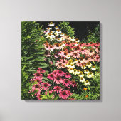 16"x16" Echinacea's Canvas Afdruk (Voorkant)