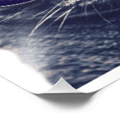 16 x 12 inch, Kodak Professional-fotopapier (Satin Foto Afdruk (Hoek)