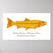 16 x 12 inch, Value Poster Paper (Matte) (Voorkant)