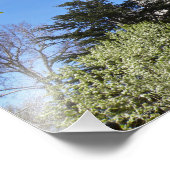 16 x 12-inch zout meer LDS-tempel Foto Afdruk (Hoek)