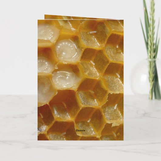 16de Jubileum van het Weddenschap, de Kaart van he (Achterkant)