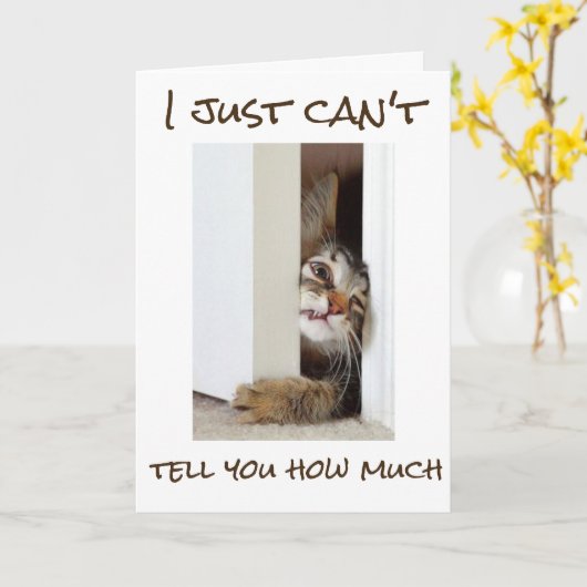 ***16e*** BIRTHDAY HUMOR=CAT GETTING UPSET Kaart (Gele Bloem)