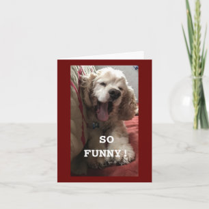 **16e BIRTHDAY WENS VAN COMEDIC SPANIEL** Kaart