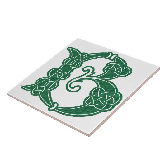 16e eeuw Celtic Knot Decorative Capital B Tegeltje (Zijkant)