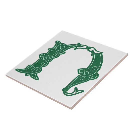 16e eeuw Celtic Knot Decorative Capital N Tegeltje (Zijkant)