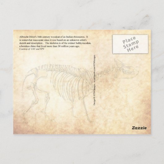 16e eeuw Rhinoceros en skelet Briefkaart (Achterkant)
