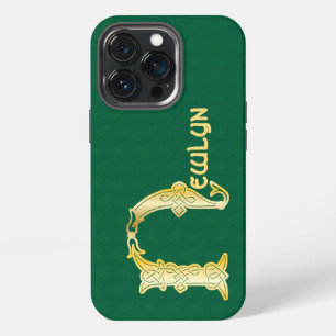 16e-eeuwse Keltische Knoop Versierde Hoofdletter N iPhone 13 Pro Hoesje