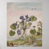 16e-eeuwse  Violet Waterverf Poster (Voorkant)