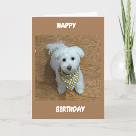 ***16e halve dag***EEN NIEUWE BESTUURDER! Kaart (Voorkant)