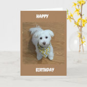 ***16e halve dag***EEN NIEUWE BESTUURDER! Kaart (Gele Bloem)