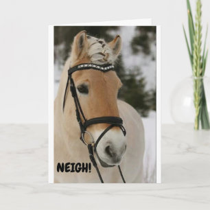 ***16e halve dag*** WOW ZEGT OVERGESCHREVEN HORSE  Kaart