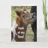 **16e MAANDAG** GESPIESDE PONY Kaart (Voorkant)