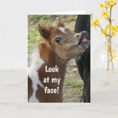 **16e MAANDAG** GESPIESDE PONY Kaart (Gele Bloem)