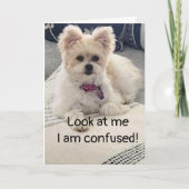 **16e MARIGE** ZO VEROORDEELD! Kaart (Voorkant)