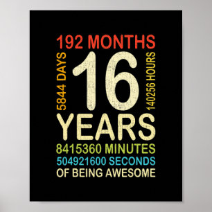 16e verjaardag 16 jaar oude  retro 192 poster