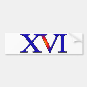 16e verjaardag bumpersticker