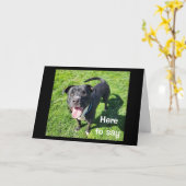 **16E VERJAARDAG** HUMOR VAN EEN COOLE HOND KAART (Gele Bloem)