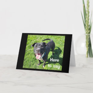 **16E VERJAARDAG** HUMOR VAN EEN COOLE HOND KAART