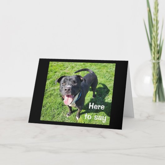 **16E VERJAARDAG** HUMOR VAN EEN COOLE HOND KAART (Voorkant)