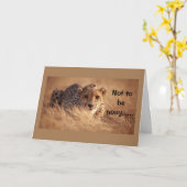 **16E VERJAARDAG** HUMOR VAN ÉÉN GEKKE KAT KAART (Gele Bloem)