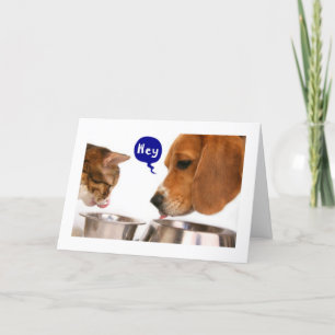 16e VERJAARDAG-NIEUWE CHAUFFEUR HUMOR Kaart