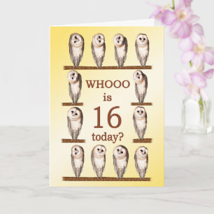 16e verjaardag, Nieuwsgierige Uilen Kaart