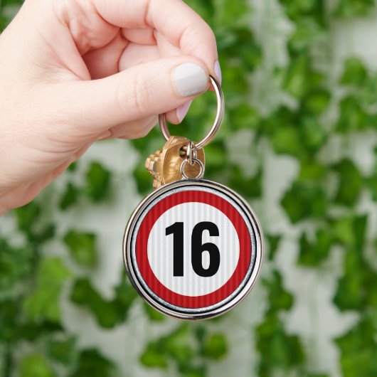 16e verjaardag snelheidsbeperking sleutelhanger (Hand)