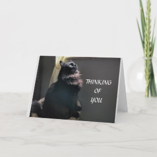 **16e VIRTHDAY** naar een SPECIALE TEENAGER Kaart