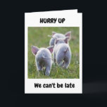 **16th BIRTHDAY** FROM RUNAWAY FUN LOVING PIGS   Kaart<br><div class="desc">I LOVED TAKING THIS PHOTO AND MAKING THIS CARD FOR I "KNOW" SOMEONE OUT THERE IS GOING TO "LOVE IT TOO" AND I HOPE YOU DO ENOUGH TO SEND OR GIVE IT TO A FRIEND OR FAMILY Member:</div>