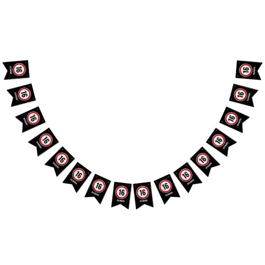 16th Birthday Speed Limit  Vlaggetjes (Alle)