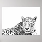 16x12-inch moderne zwarte en witte jaguar poster (Voorkant)