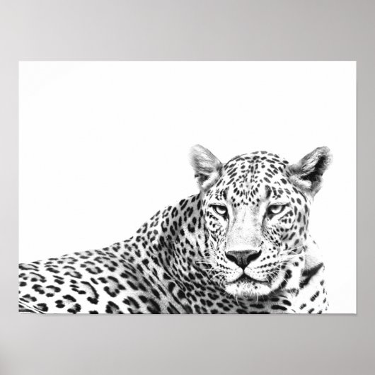 16x12-inch moderne zwarte en witte jaguar poster (Voorkant)