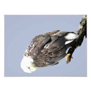 16x12 Kodak Professional-fotopapier (Satin) Foto Afdruk