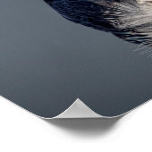 16x12 Peregrine Falcon langs de Hudson rivier Poster (Hoek)