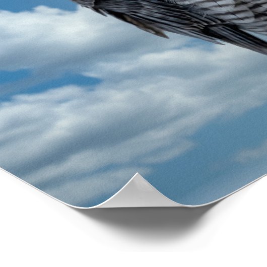 16x12 Peregrine Falcon langs de Hudson rivier Poster (Hoek)