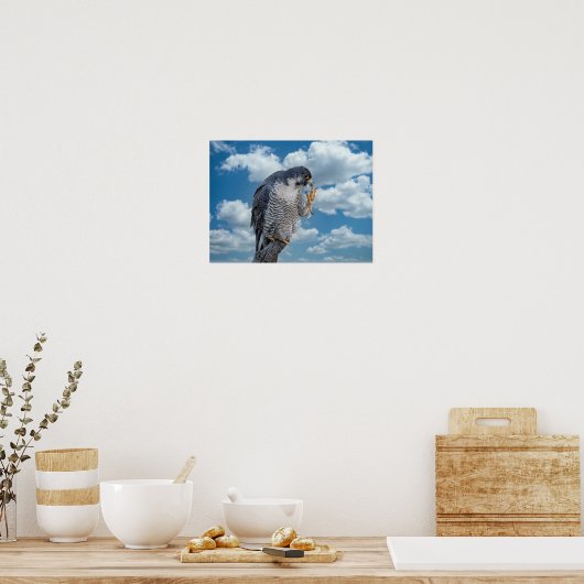 16x12 Peregrine Falcon langs de Hudson rivier Poster (Keuken)