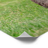 16x12 Rabbit in het gras en er schraal uitzien Poster (Hoek)