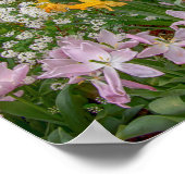 16x12Colorful Spring Flowers in vol bloei Poster (Hoek)