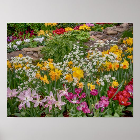 16x12Colorful Spring Flowers in vol bloei Poster (Voorkant)