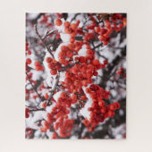 16x20, 520 stuks, puzzel (Verticaal)
