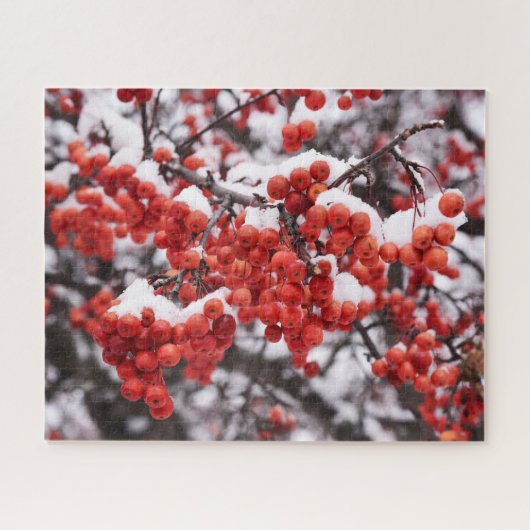 16x20, 520 stuks, puzzel (Horizontaal)