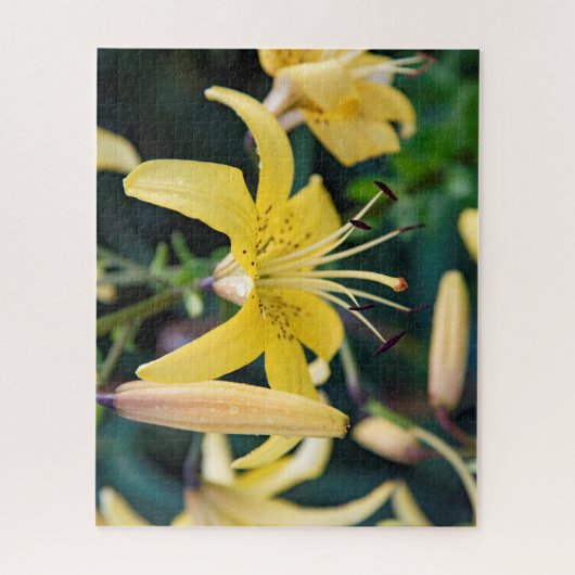 16x20, 520 stuks, puzzel legpuzzel (Verticaal)